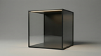 Custom Order Display Case (Ivan)