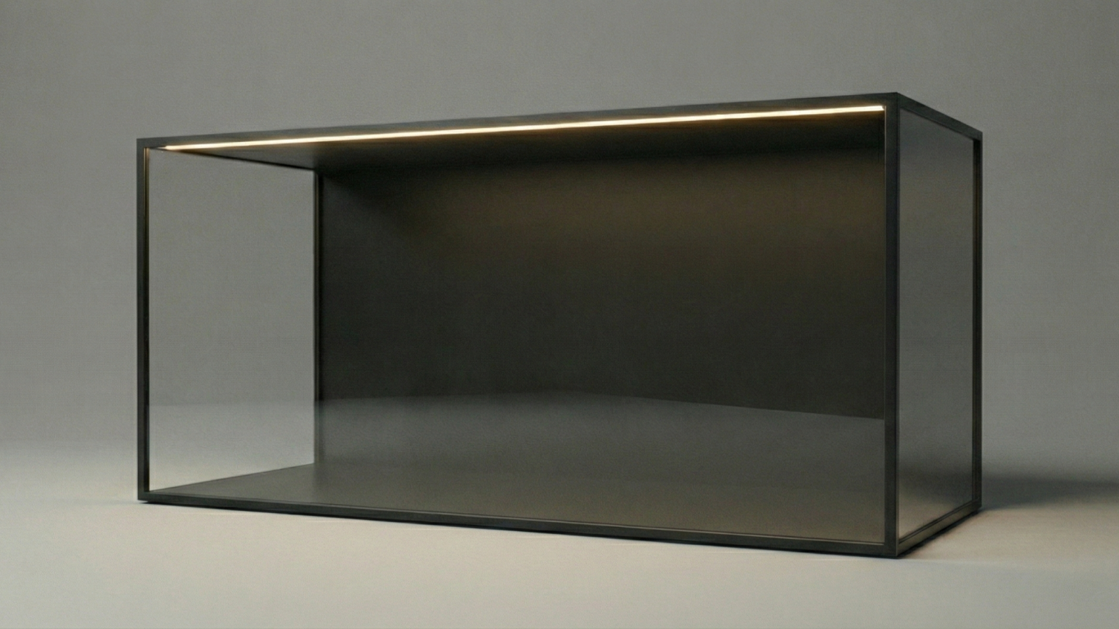 The Horizon - Modular Display Case